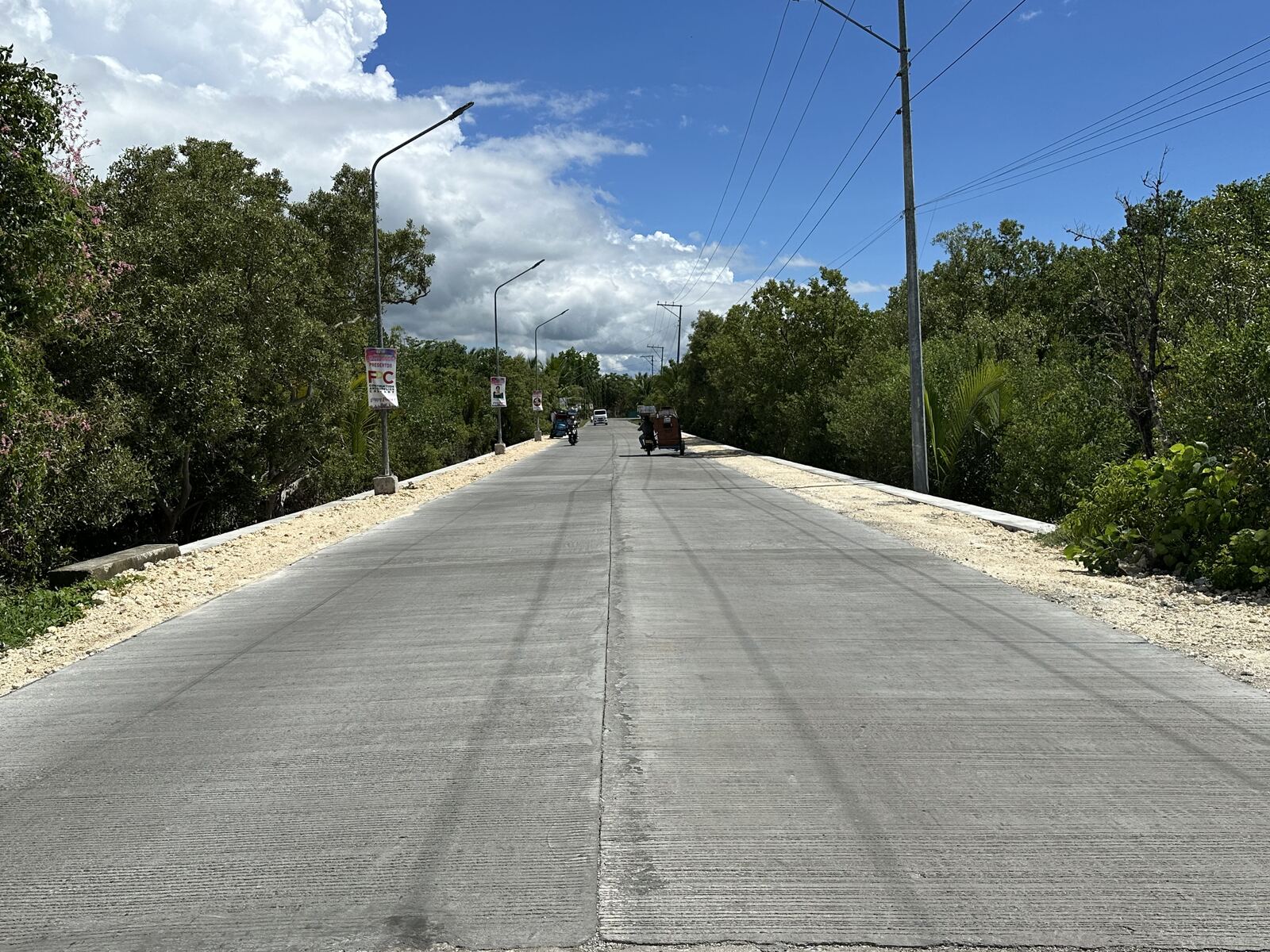 Concrete road running through a green mangrove corridor