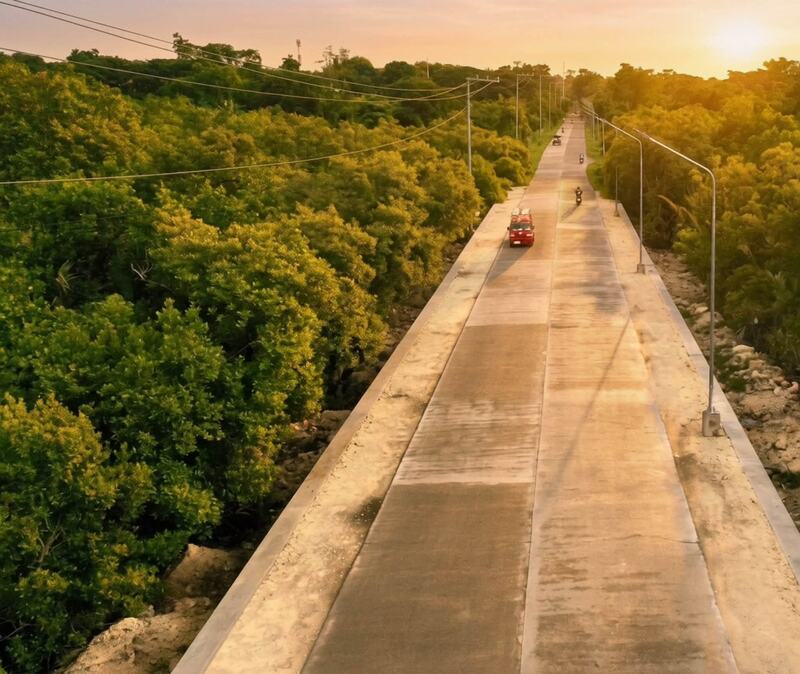 Aerial view at sunset of a concrete road through mangrove forest